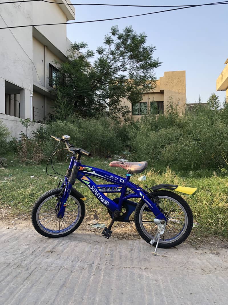 BMX Cycle 1