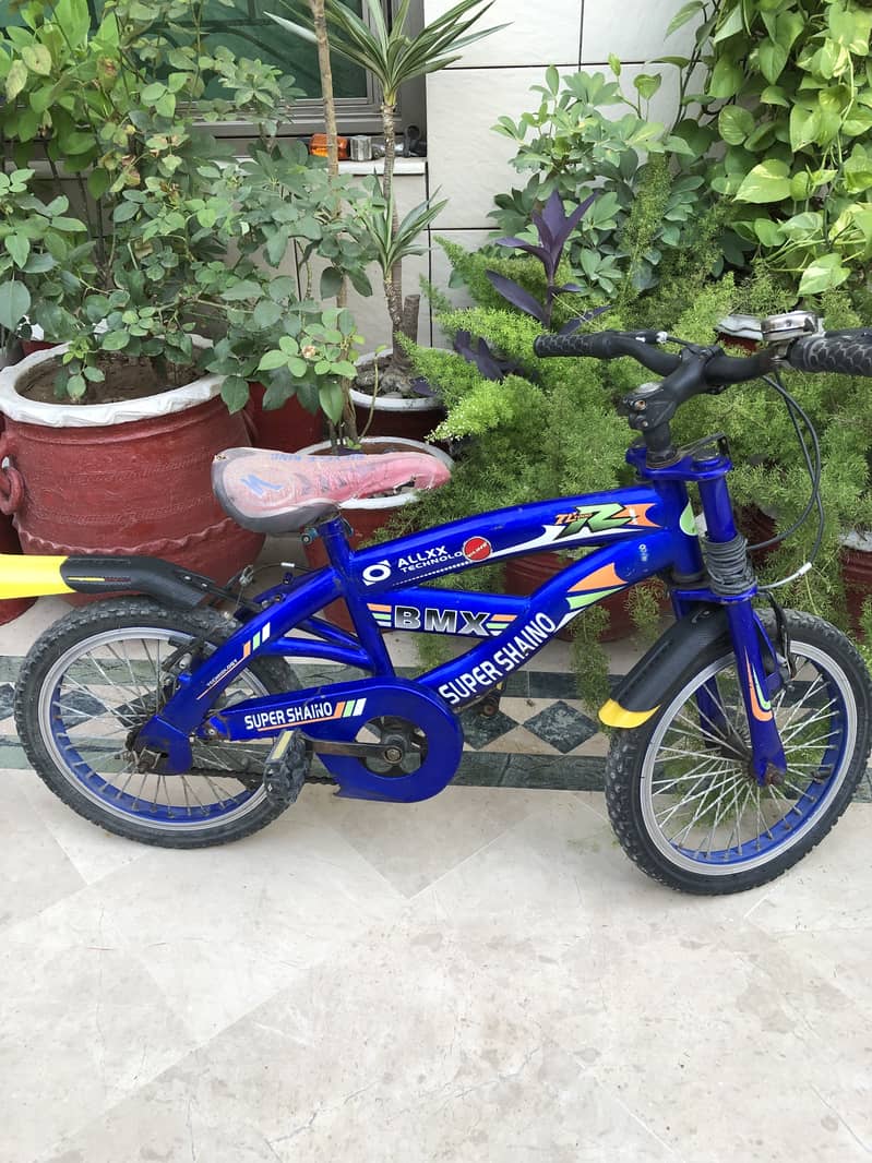 BMX Cycle 3