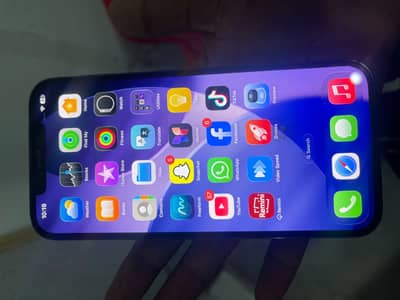 Apple iPhone 12 Pro Max only glass crack