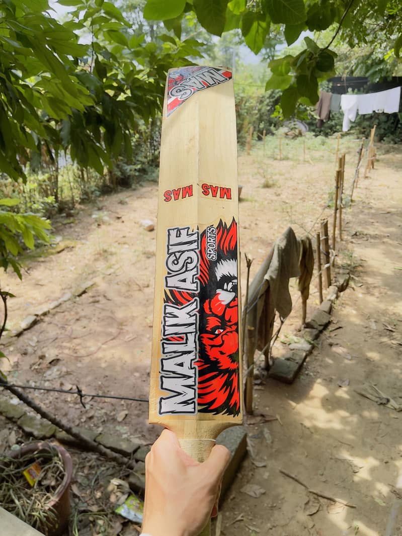 hardball bat 1