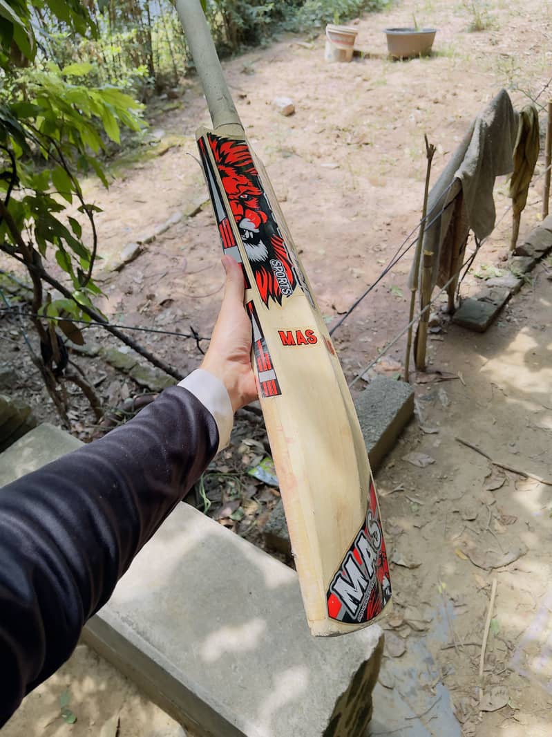 hardball bat 2