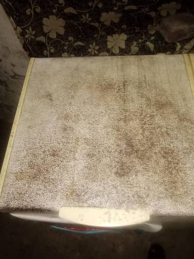 urgent sale freezer 10/10 koi iusse ni gas bi ok