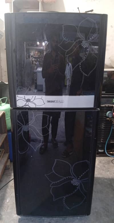 Orient Medium Size Fridge