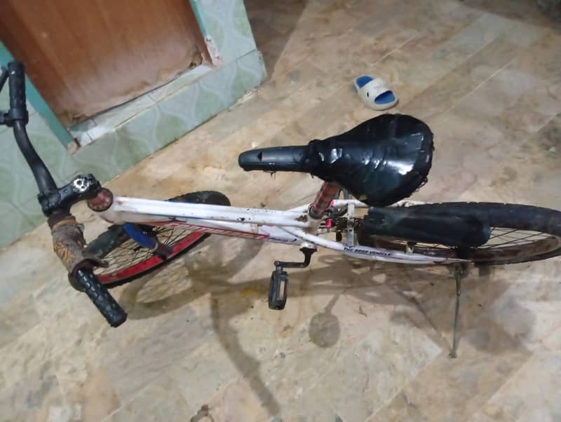 Bicycle 0