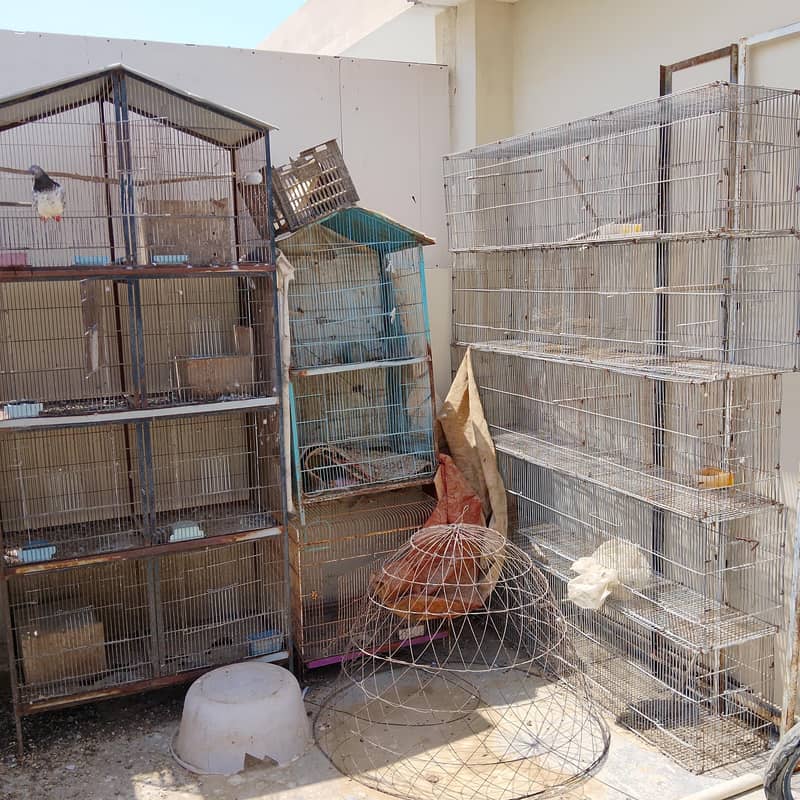 cages 0