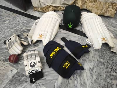 Hard ball cricket kit and bat