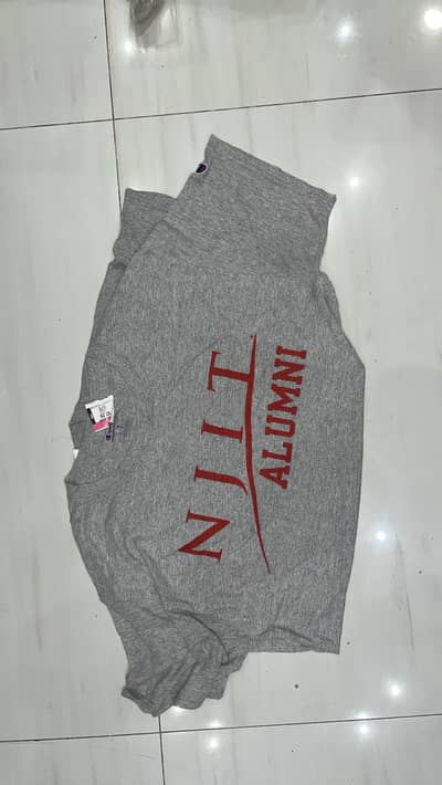 Wholesale Bulk Bundle of 18 Authentic Champion T-Shirts.