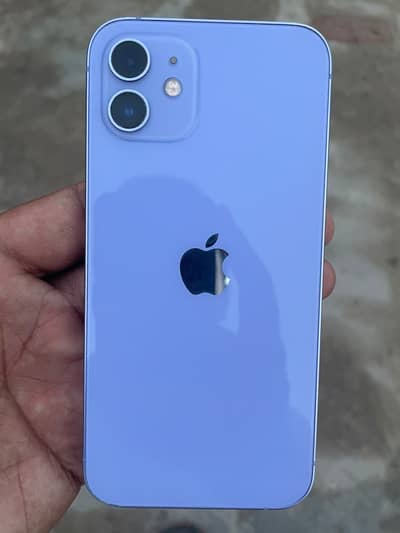 Apple iPhone 12