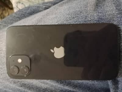 Apple iPhone 12