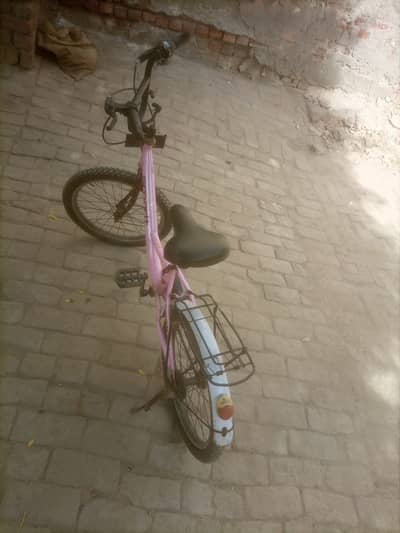 Imported bicycle for girls