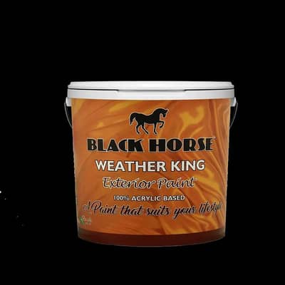 BLACK HORSE PAINT