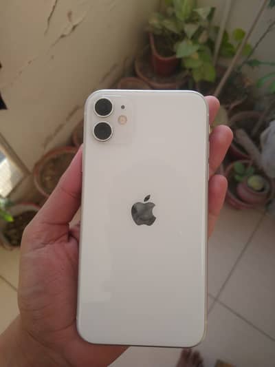 Apple iPhone 11 family used
