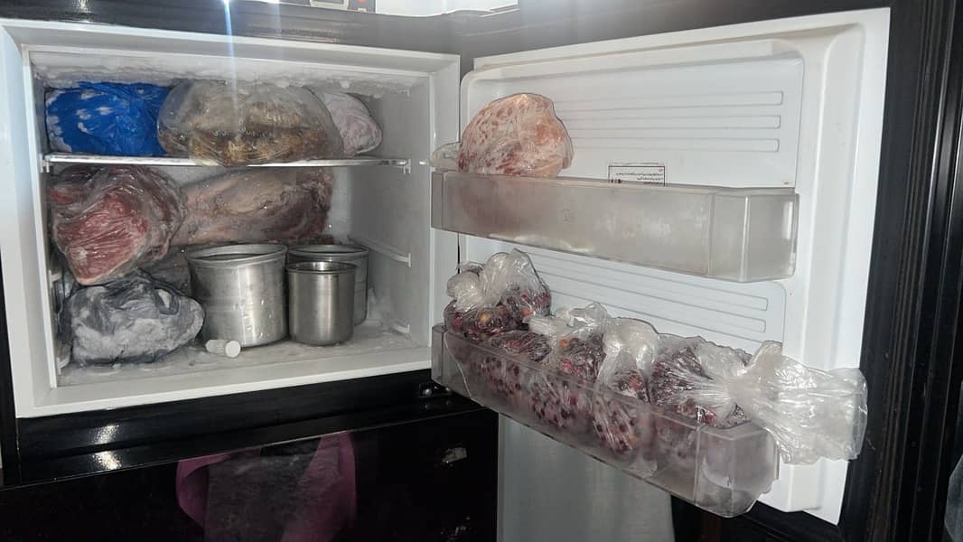PEL Fridge 2