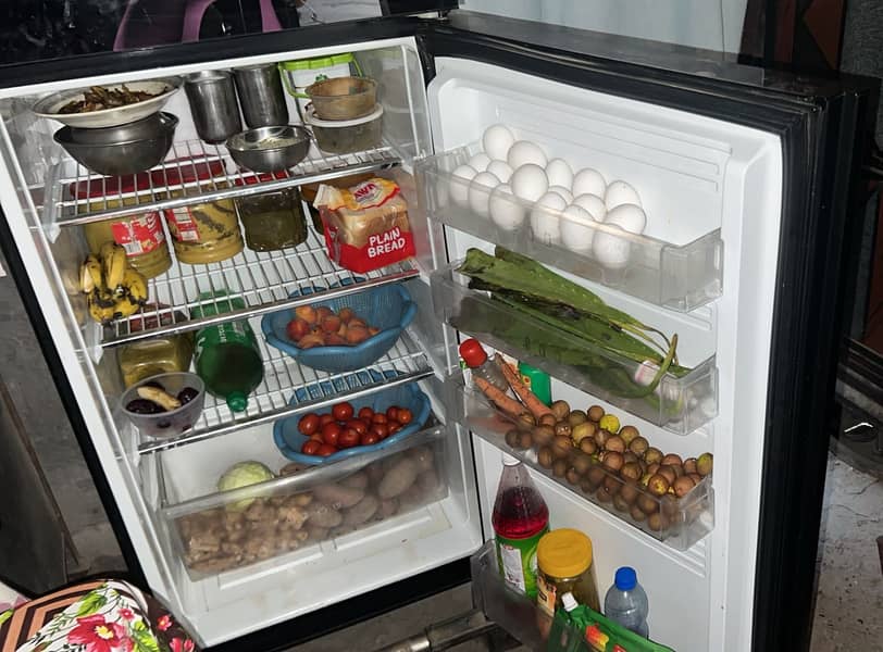 PEL Fridge 3