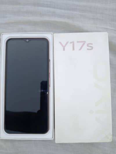 Vivo Y17s