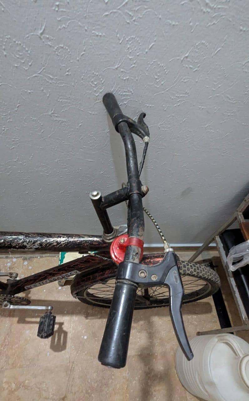 bicycle 2