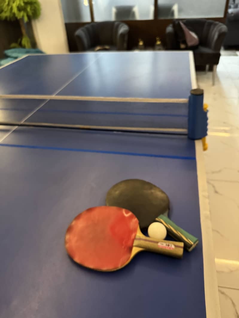 Table tennis table 3