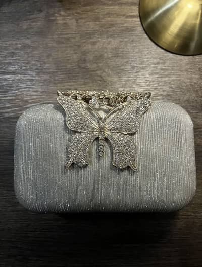 Elegant Silver Clutch