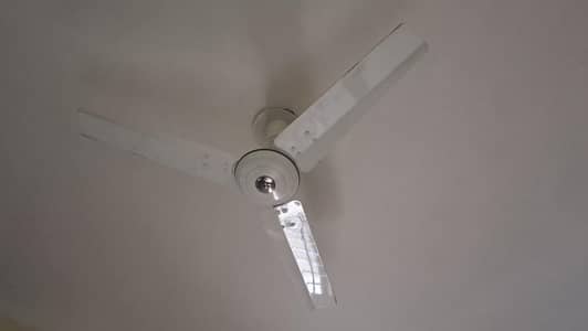 Royal Classic Ceiling Fan – Excellent Condition