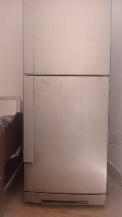 PEL Refrigerator Full Size/پیل ریفریجریٹر فل سائز