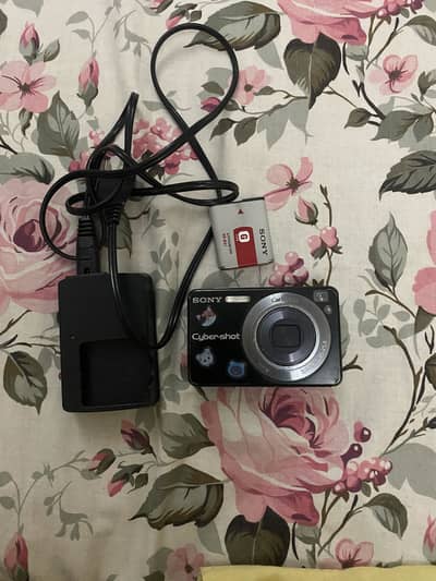 sony dsc w120