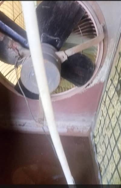 lahori air coler peyor copier wanding motr full saiz chalo halt me sel