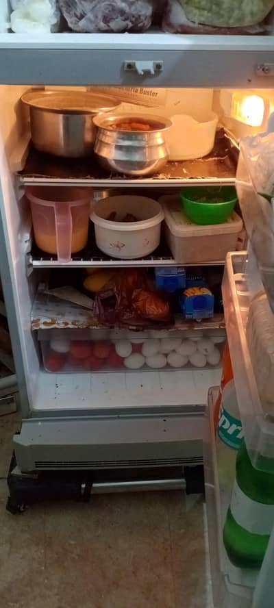 PEL compny small to medium size fridge