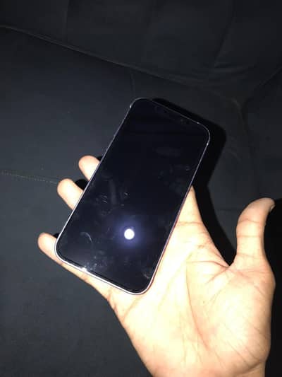 Apple iPhone 12