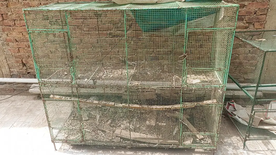 Cage for sale