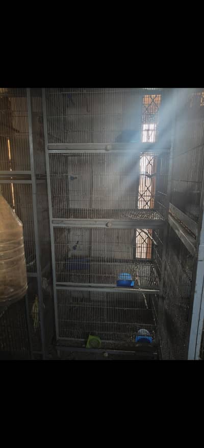 cages