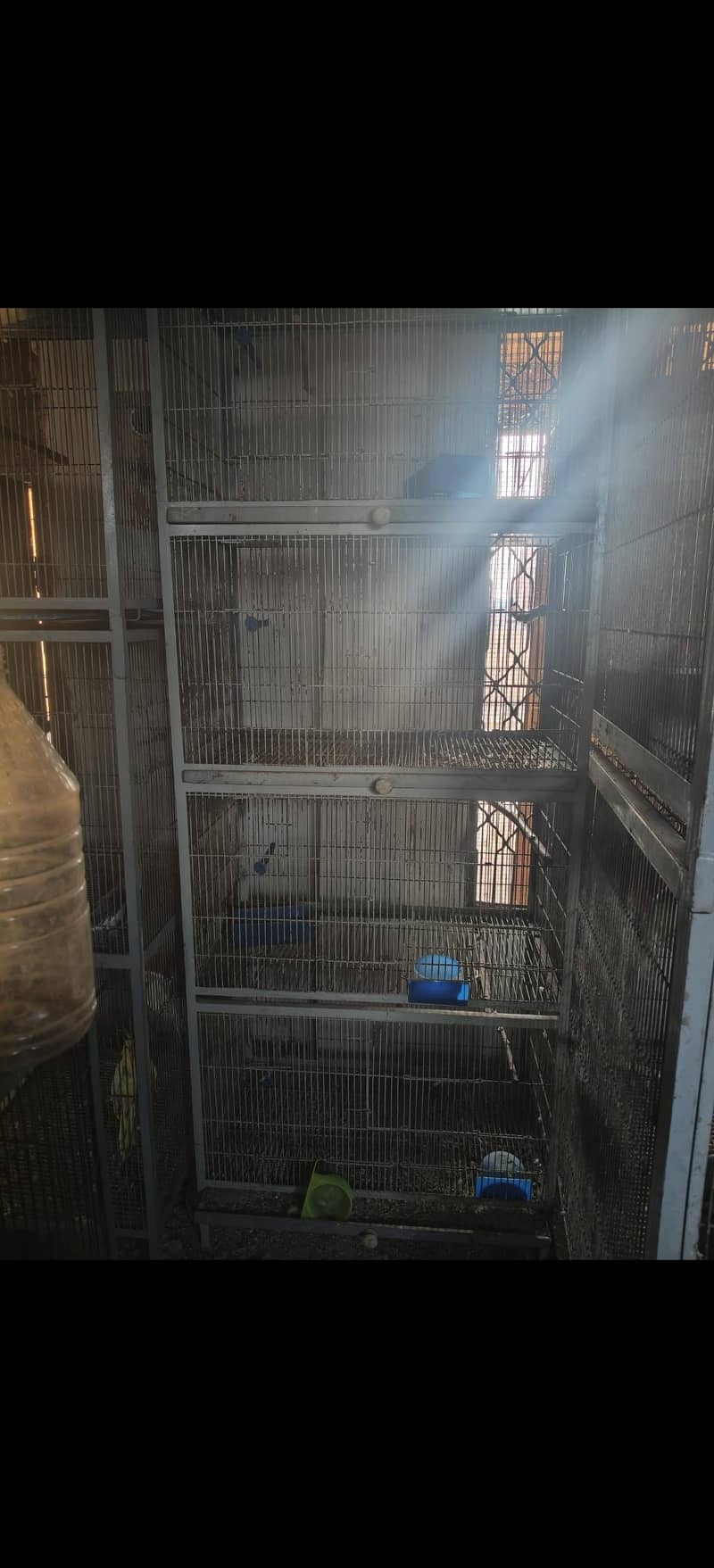 cages 0