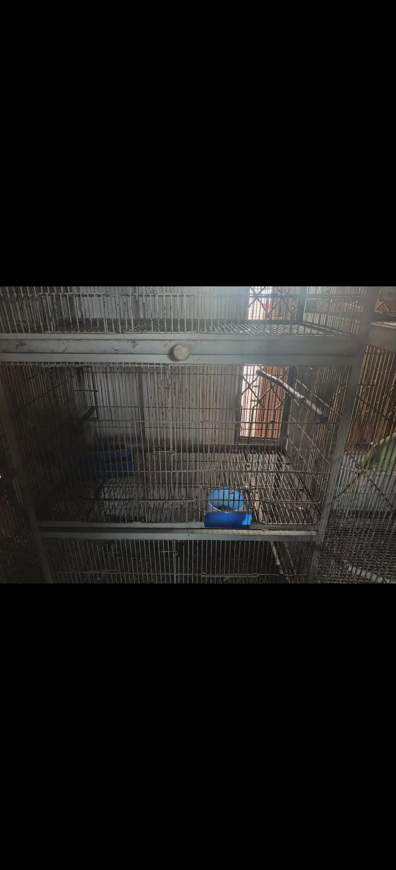 cages — photo 2
