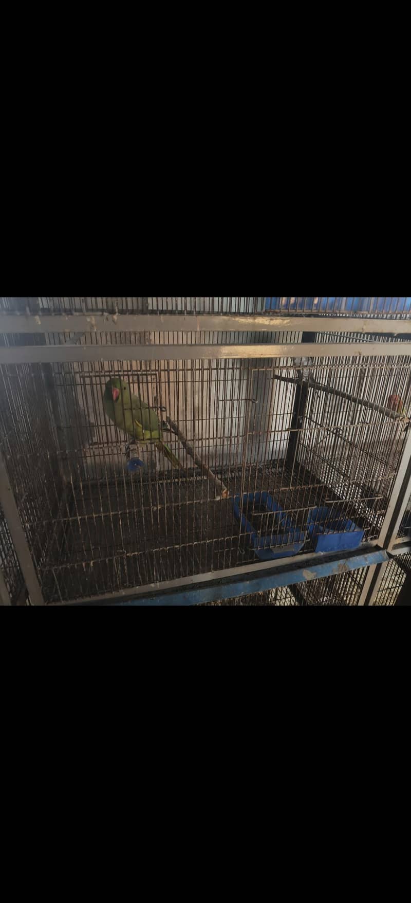 cages 2