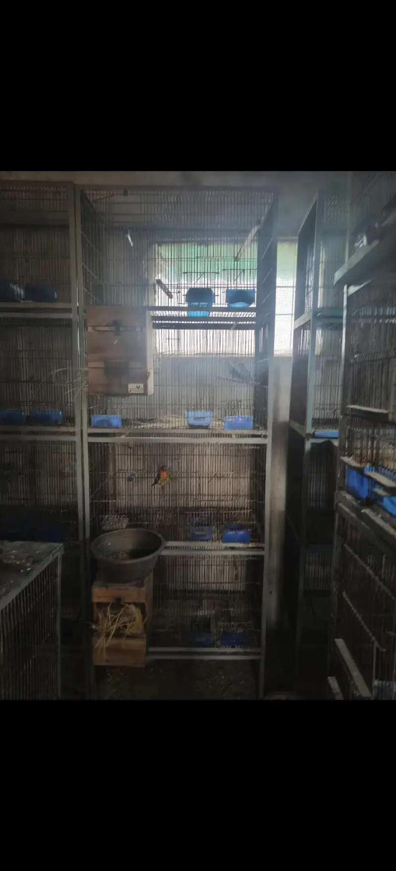 cages — photo 5