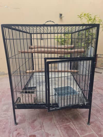 parrot cage