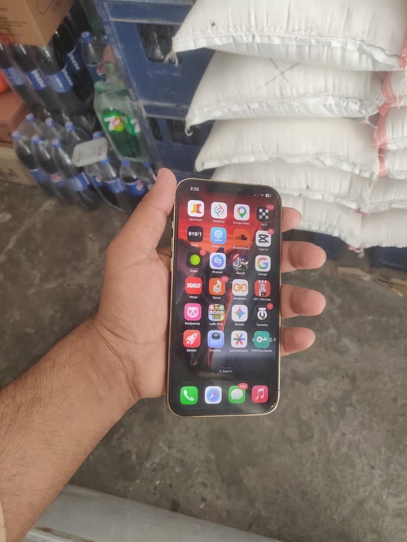 Apple iPhone 12 Pro Max 2