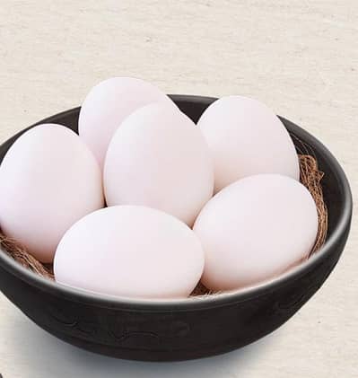 Eggs on wholesale