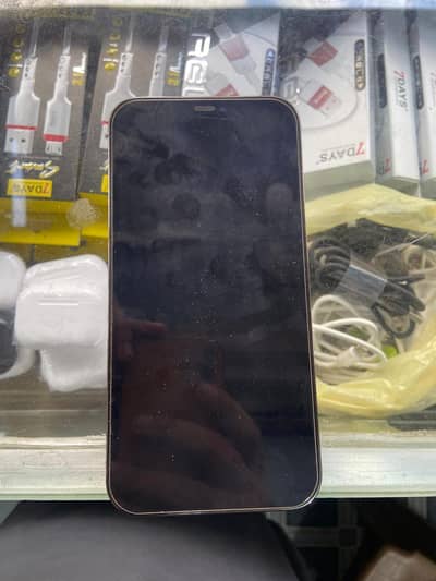Apple iPhone 12 Pro Max
