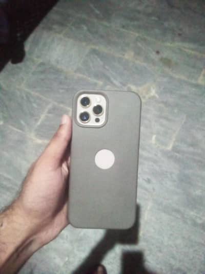 Apple iPhone 12 Pro Max bypass