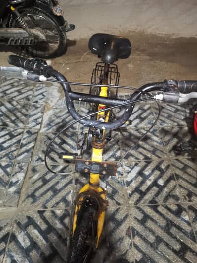 Best cycle