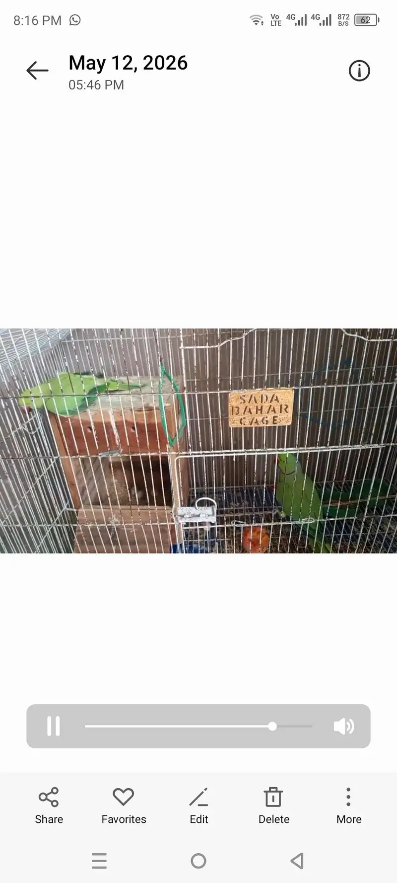 Ringnack pair