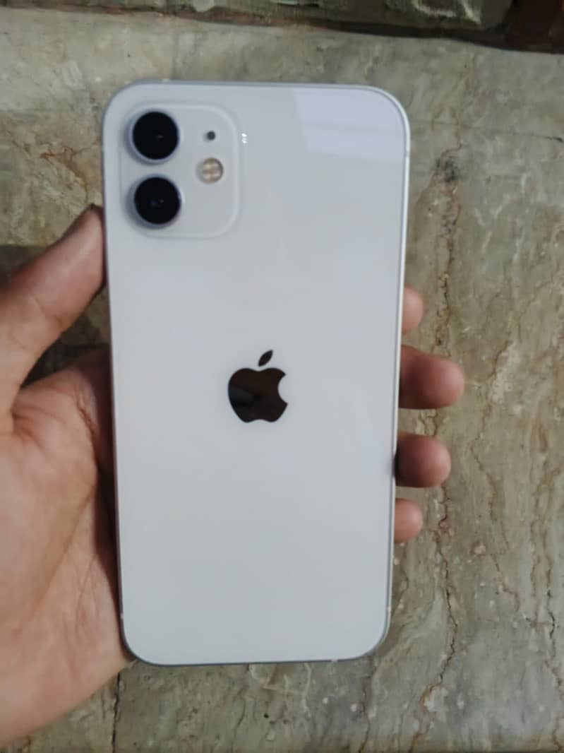 Apple iPhone 12 mini 1
