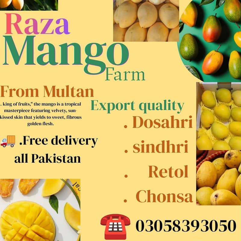 Mango 0