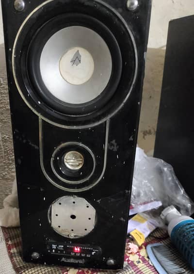 Audionic classic speeker