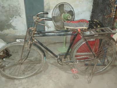 argnt sale