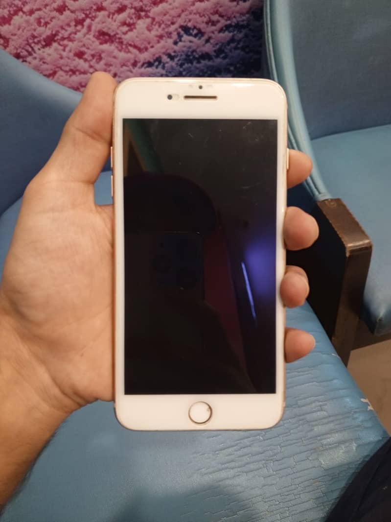 Apple iPhone 8 Plus 1