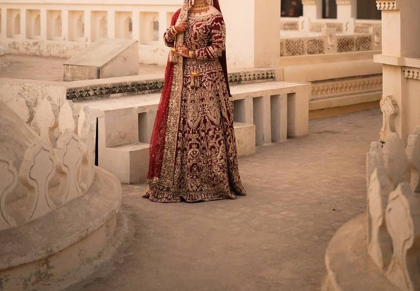 Lenga 6
