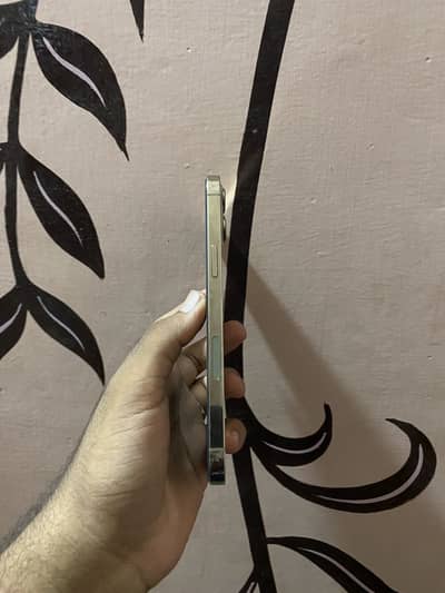 iPhone 12 pro max factory