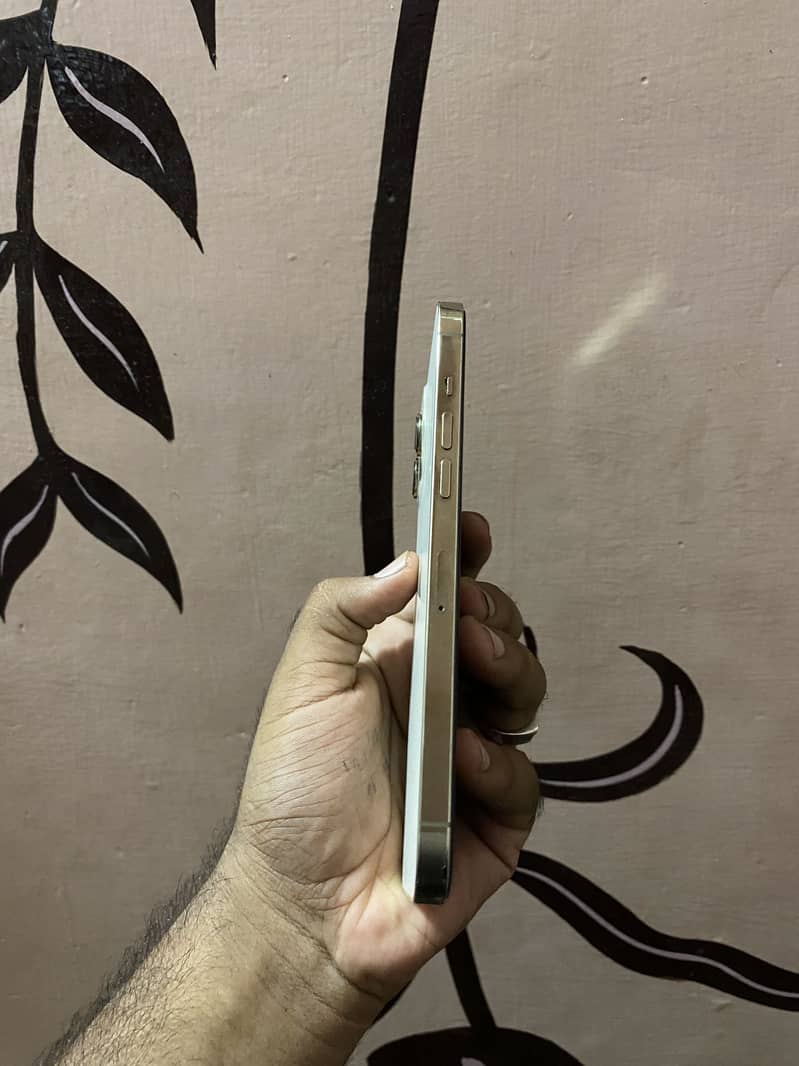 iPhone 12 pro max 1