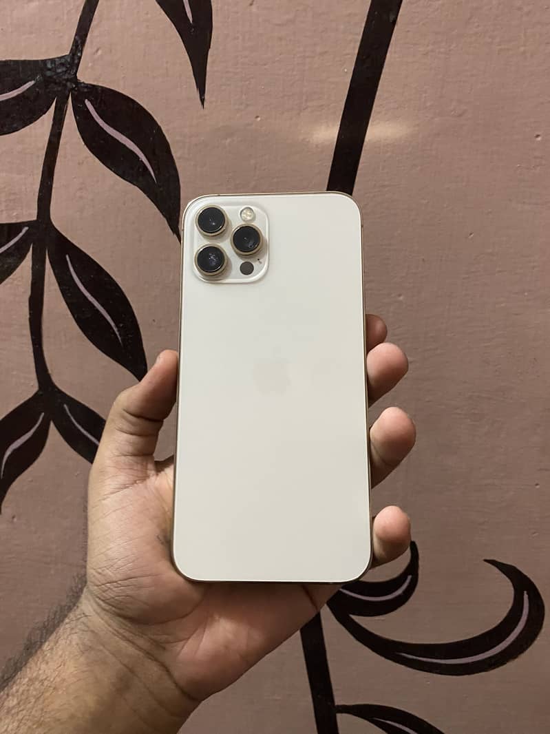 iPhone 12 pro max 2
